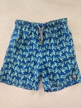 Tom & Teddy Teal and Aqua Turtle-Print Swim Shorts
